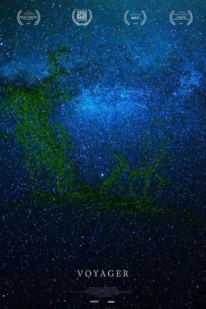 Voyager's poster
