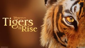 Tigers on the Rise's poster