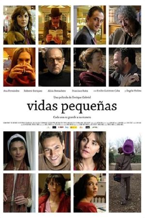 Vidas pequeñas's poster