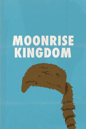 Moonrise Kingdom's poster