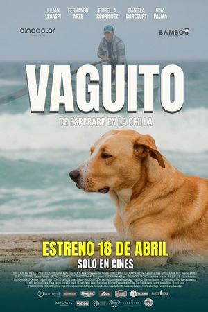 Vaguito's poster