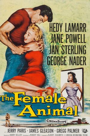 The Female Animal's poster