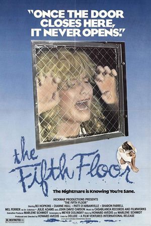 The Fifth Floor's poster