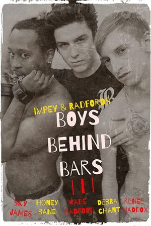 Boys Behind Bars 3's poster