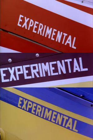 Experimental's poster image