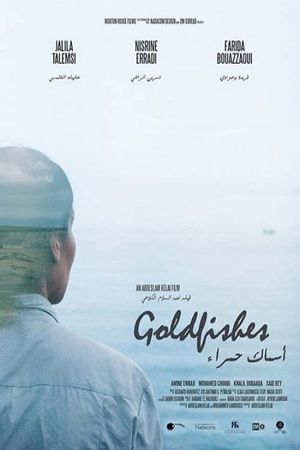 Goldfishes's poster