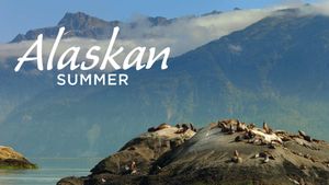 Alaskan Summer's poster