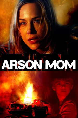 Sole Custody's poster