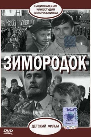 Zimorodok's poster