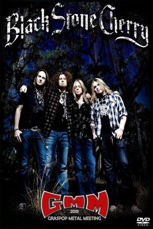 Black Stone Cherry - Graspop Metal Meeting 2015's poster image