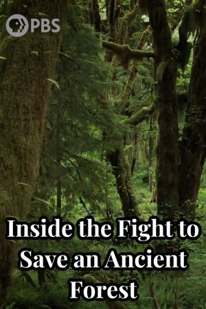 Inside the Fight to Save an Ancient Forest (and the Secrets it Holds)'s poster