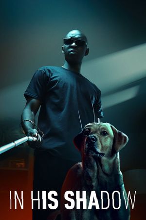 In His Shadow's poster