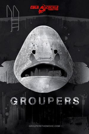 Groupers's poster