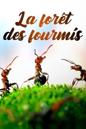 La Forêt des fourmis's poster