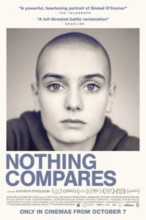 Nothing Compares's poster