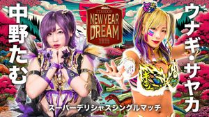 Stardom New Year Dream 2025's poster