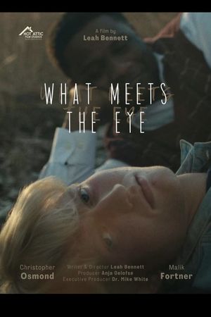 What Meets The Eye's poster