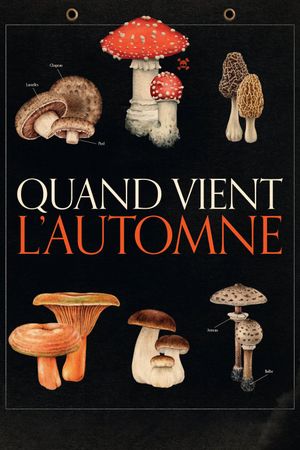 When Fall Is Coming's poster