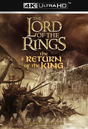 The Lord of the Rings: The Return of the King's poster
