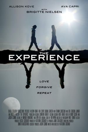 The Experience's poster