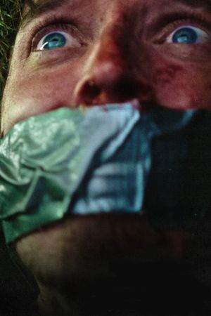 15 Cameras's poster