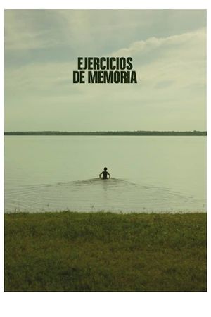 Memory Exercises's poster