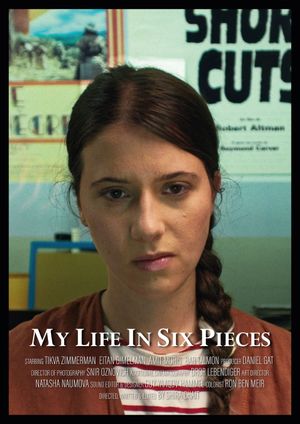 My Life in Six Pieces's poster image