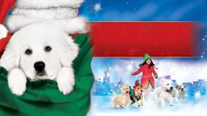 The Search for Santa Paws's poster