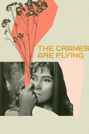 The Cranes Are Flying's poster