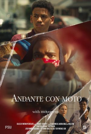 Andante con moto's poster image