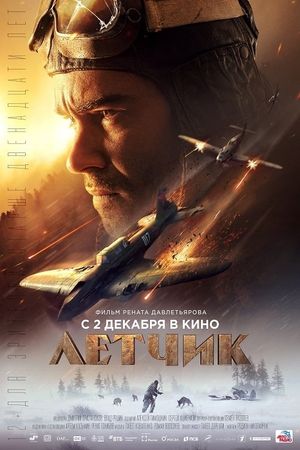 The Pilot: A Battle for Survival's poster