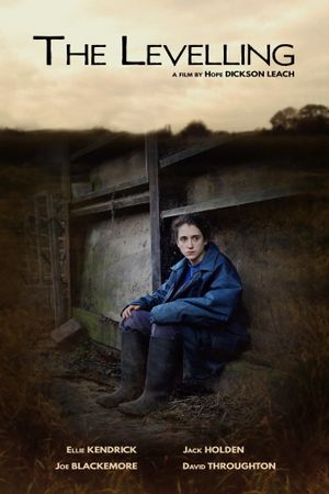 The Levelling's poster
