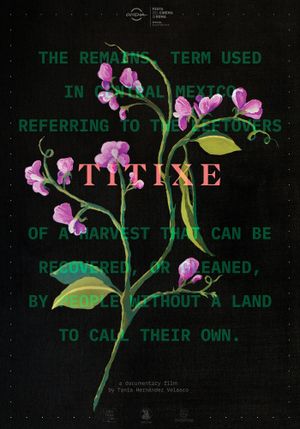 Titixe's poster
