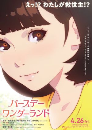 The Wonderland's poster