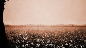 12 Years a Slave's poster