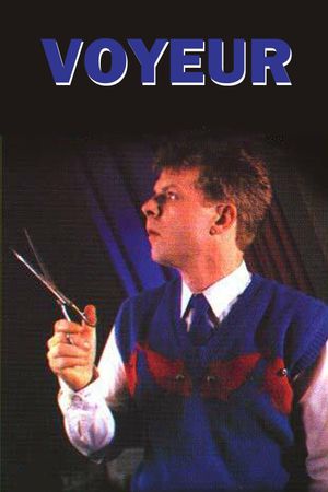 Voyeur's poster