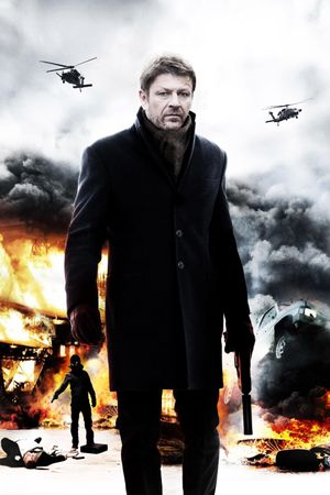 Cleanskin's poster