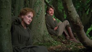 The French Lieutenant's Woman's poster