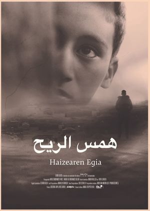 Haizearen egia's poster