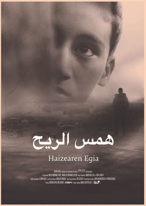 Haizearen egia's poster image