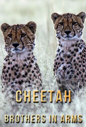 Cheetah Brothers in Arms's poster
