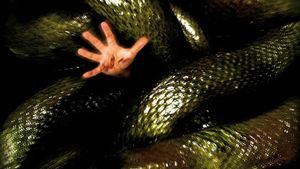 Anacondas: The Hunt for the Blood Orchid's poster