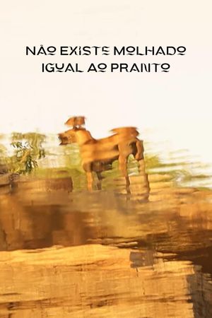 Não Existe Molhado Igual Ao Pranto's poster