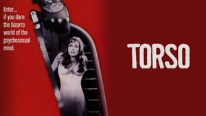 Torso's poster