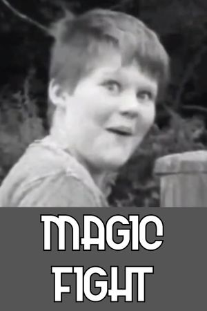 Magic Fight's poster