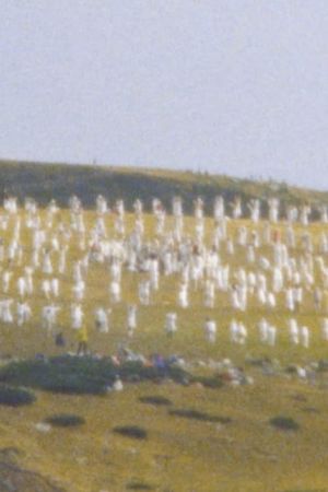 In Light's poster image