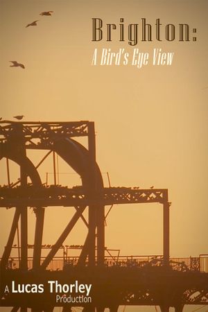 Brighton: A Bird's Eye View's poster