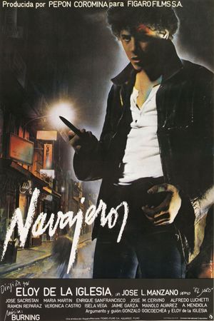 Navajeros's poster