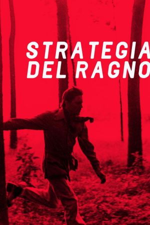 The Spider's Stratagem's poster