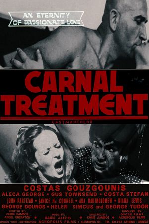 The Pervert's poster